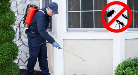 Akkuş Kene İlaçlama böcek ilaçlama ve haşere kontrolü — ilaclama-tr.com